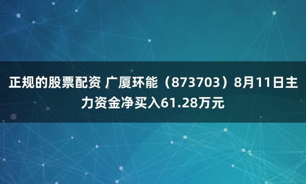 正规的股票配资 广厦环能（873703）8月11日主力资金净买入61.28万元